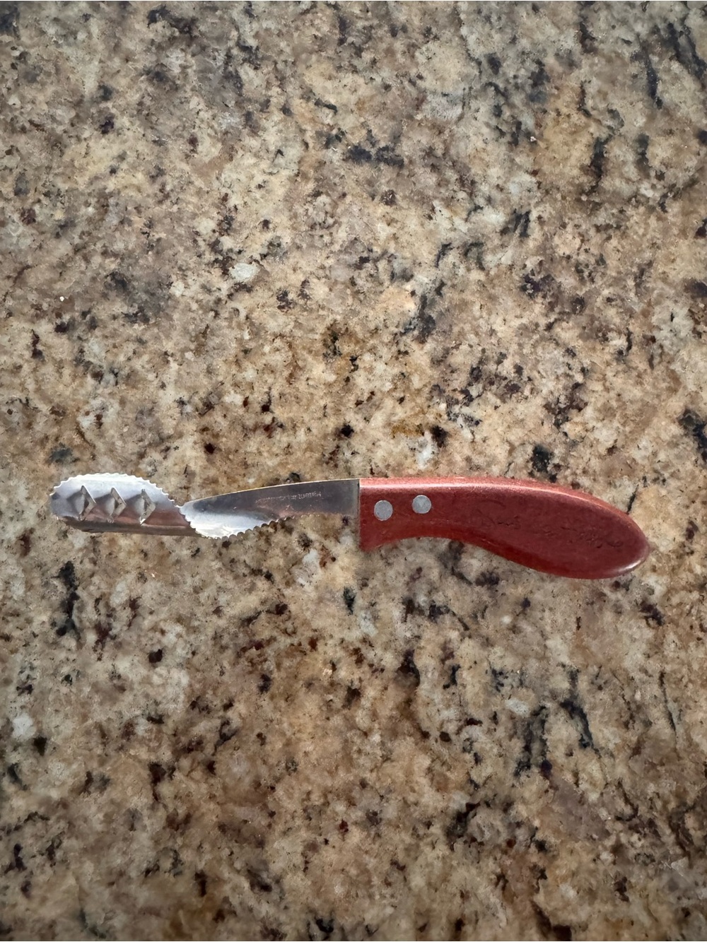 Sur La Table Serrated Pepper coring knife
